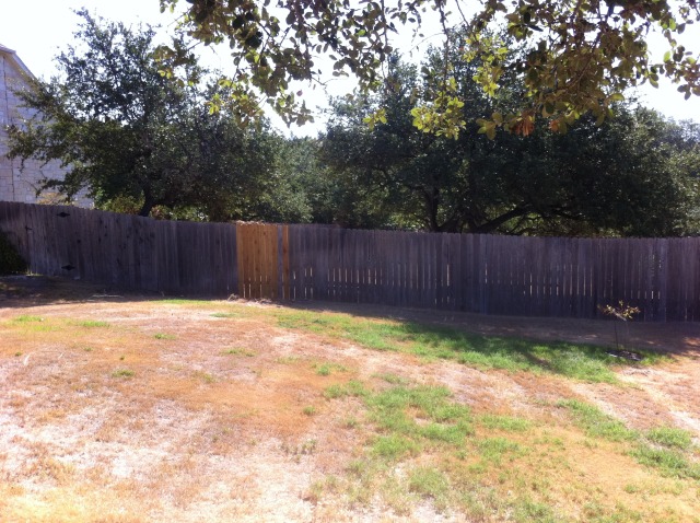 2011-09-24-6607 Conifer Cove-34.jpg
